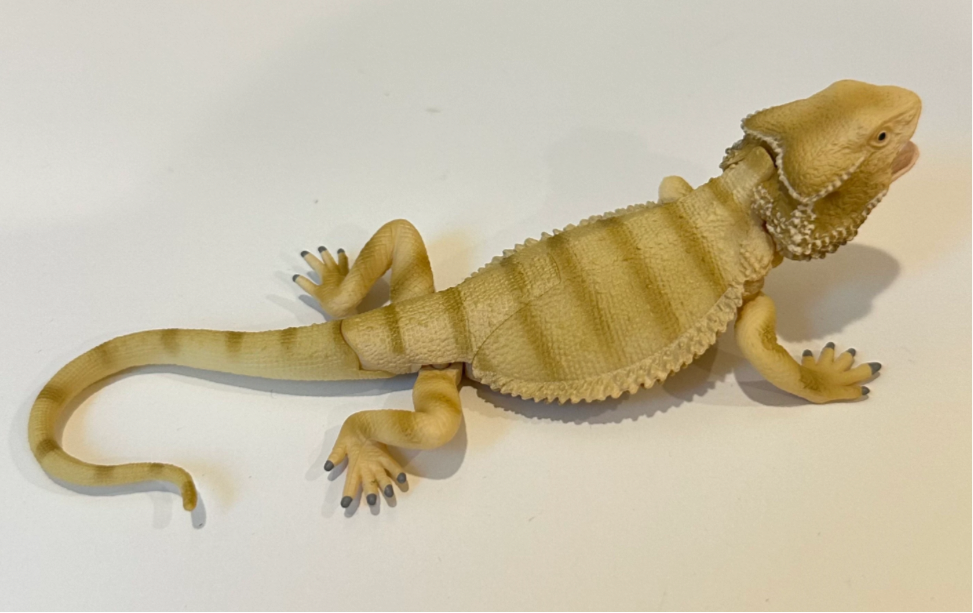 Lizard Iguana Bearded Dragon Figurines