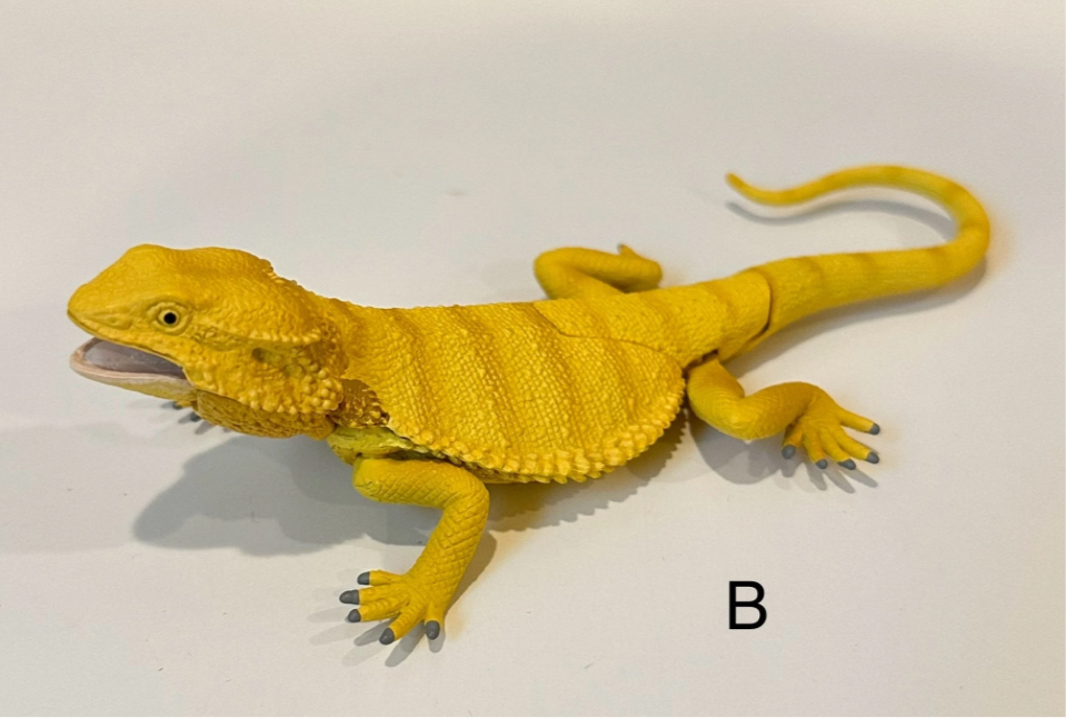 Lizard Iguana Bearded Dragon Figurines