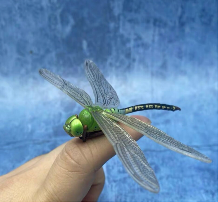 Dragonfly with Stand Figurines