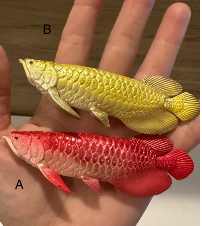 Freshwater Fish Figurines