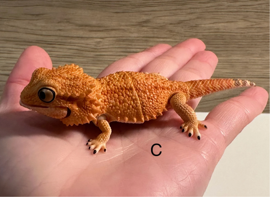 Bearded Lizard Gecko Figurines