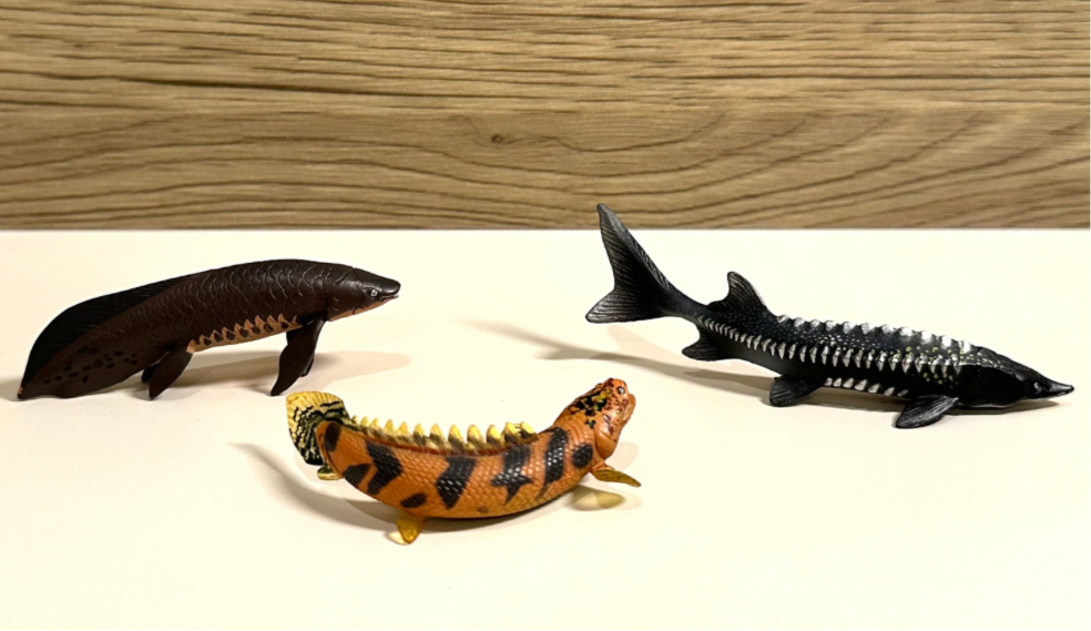 Vintage Fish Figurines