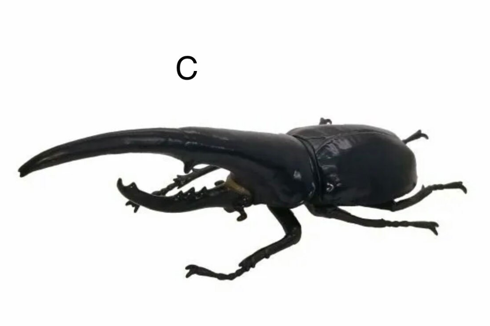 1:1  Hercules Beetle Figurines