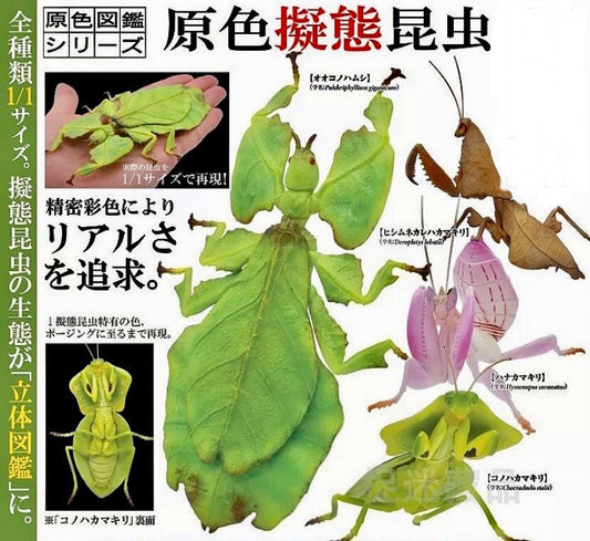 Japan Mantis insect PVC Figurines