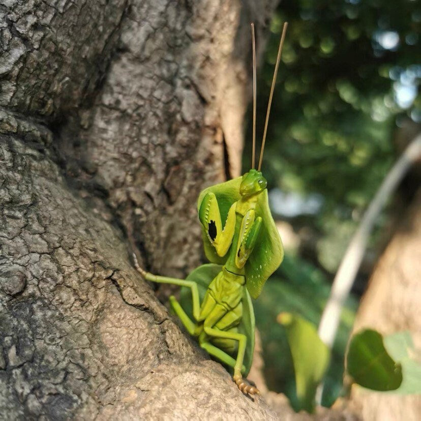 Japan Mantis insect PVC Figurines