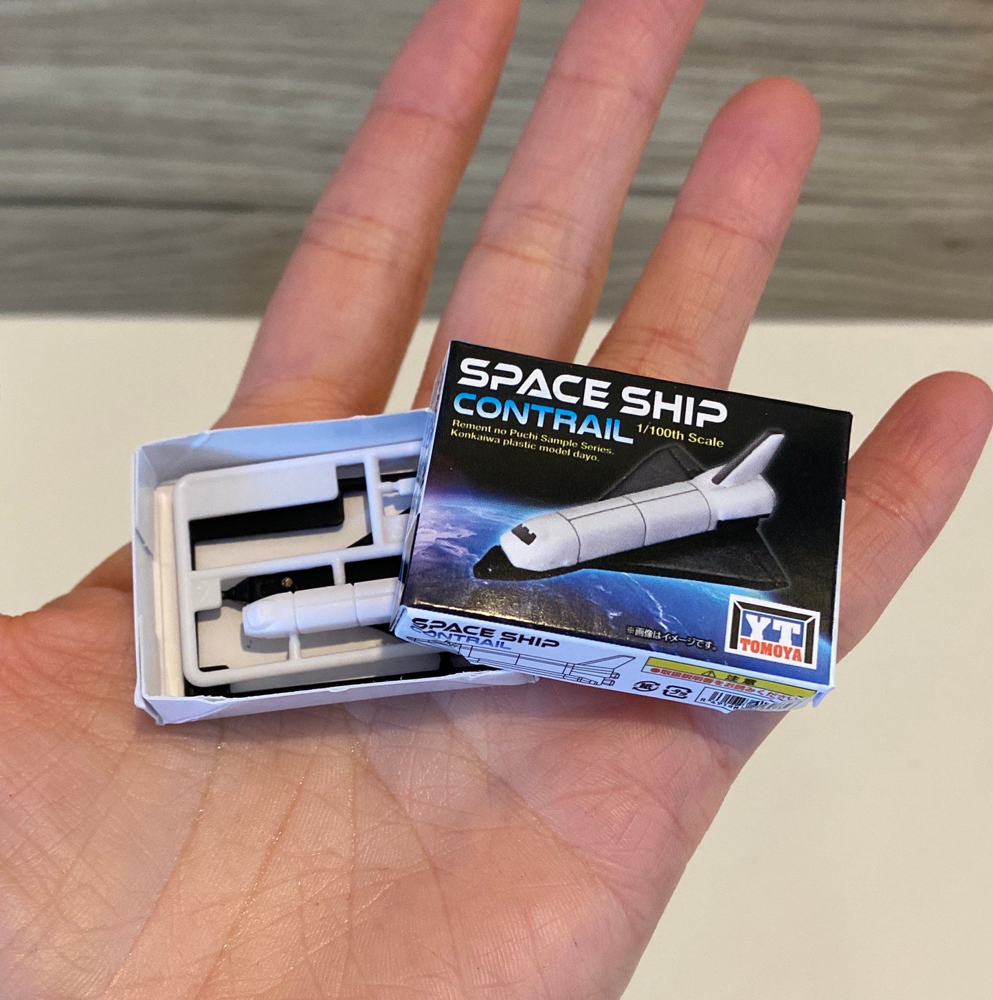 Space Ship Model