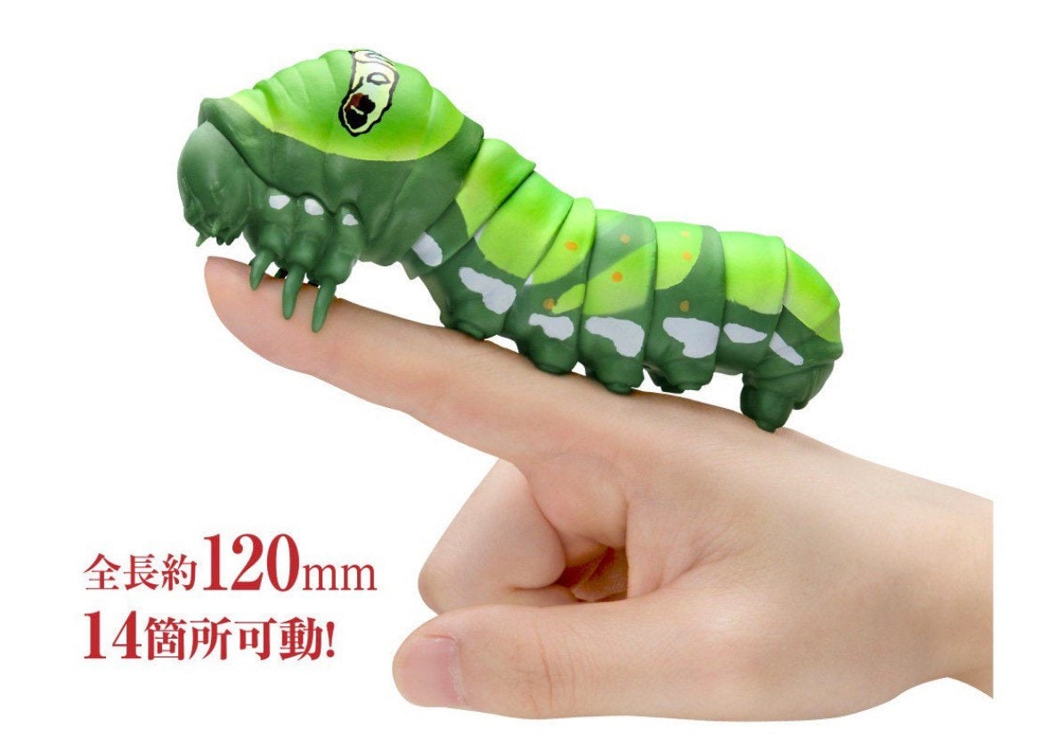 Great Mormon Butterfly Caterpillar