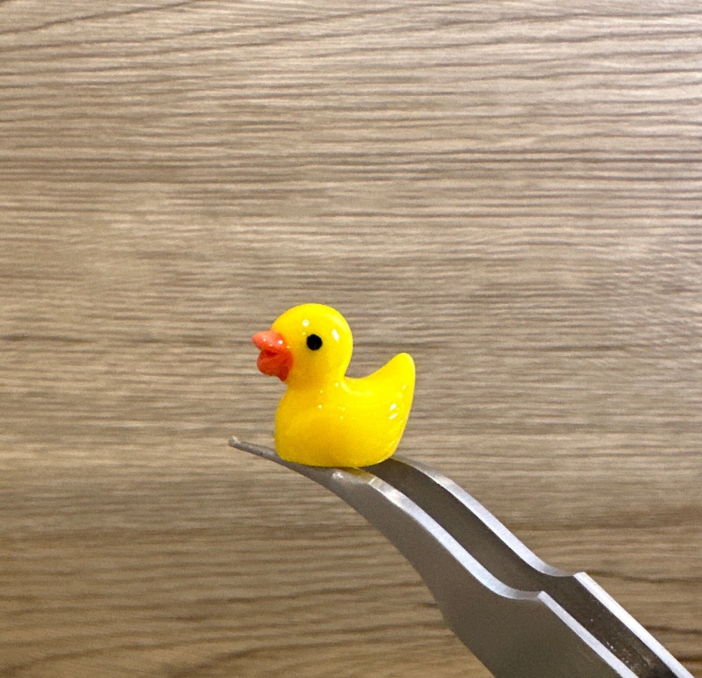 Resin Duck