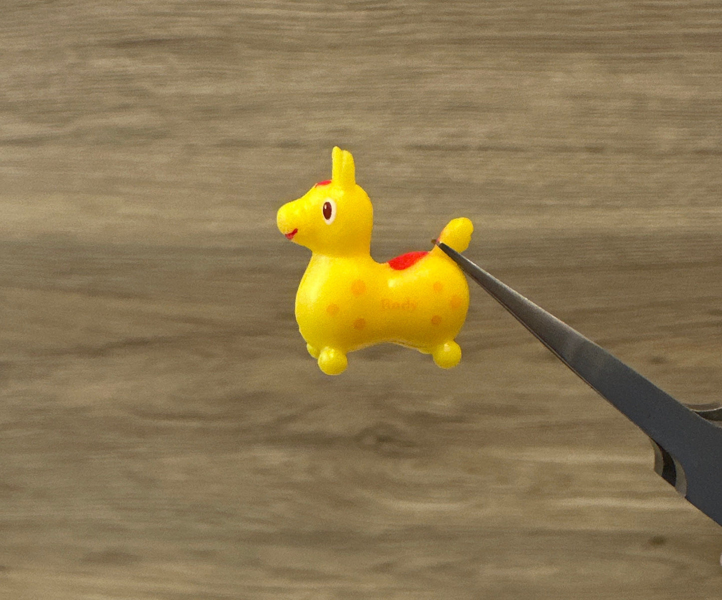 Smallest Rody horse