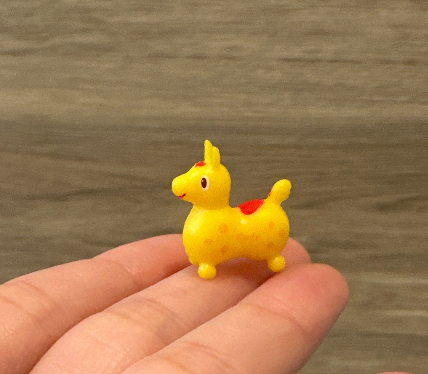 Smallest Rody horse