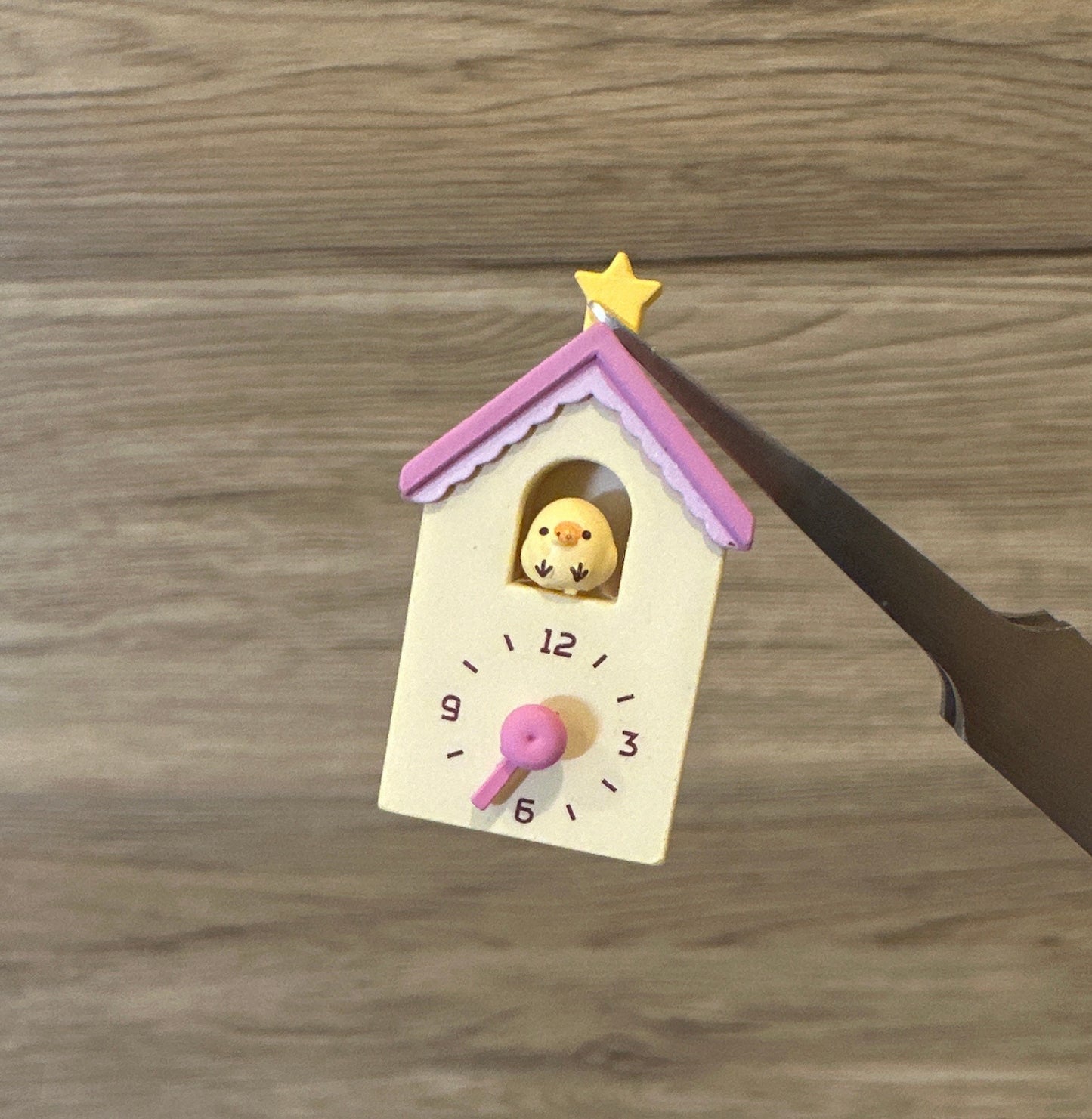 Bird House Clock