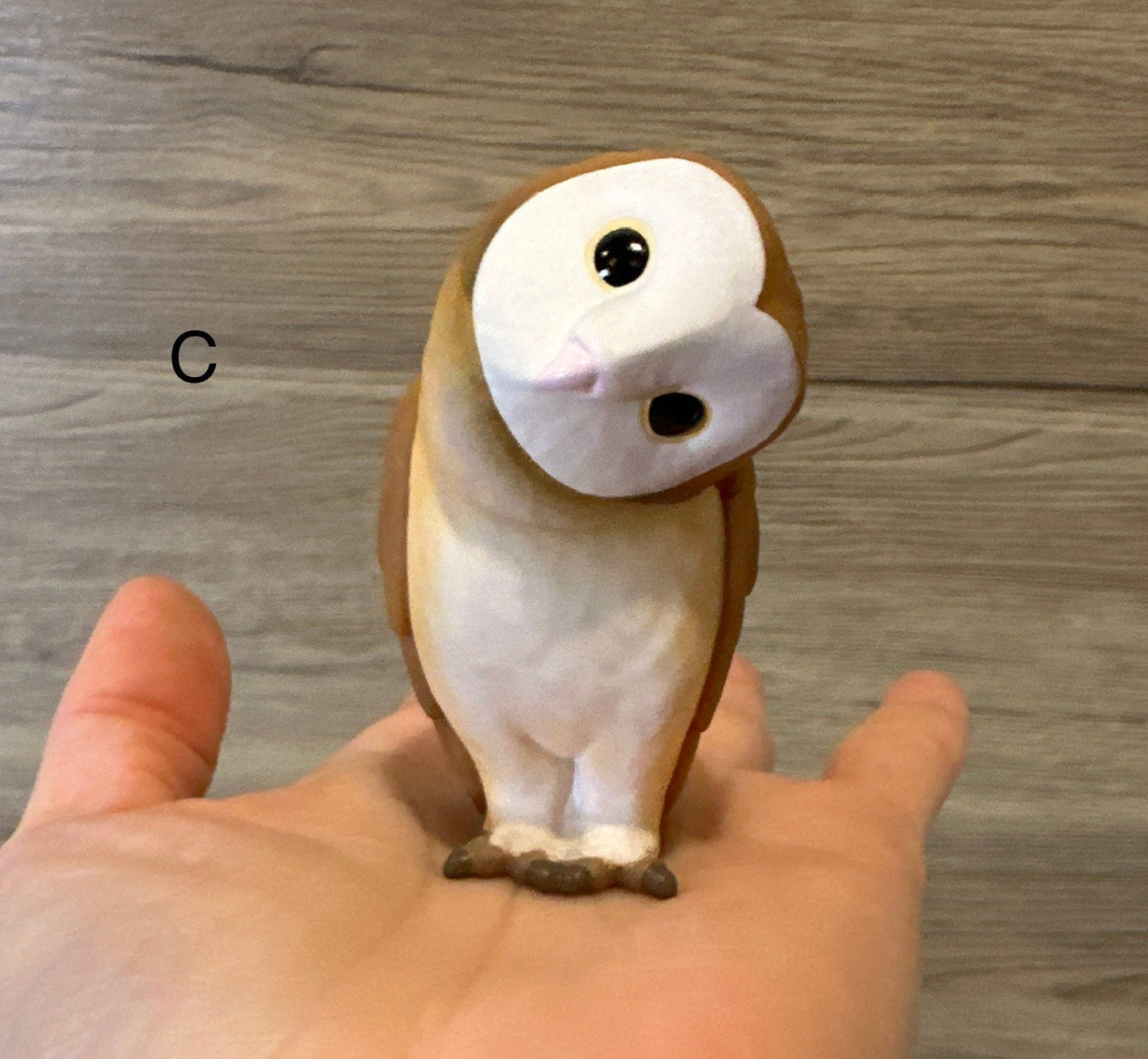 Japan Barn Owl