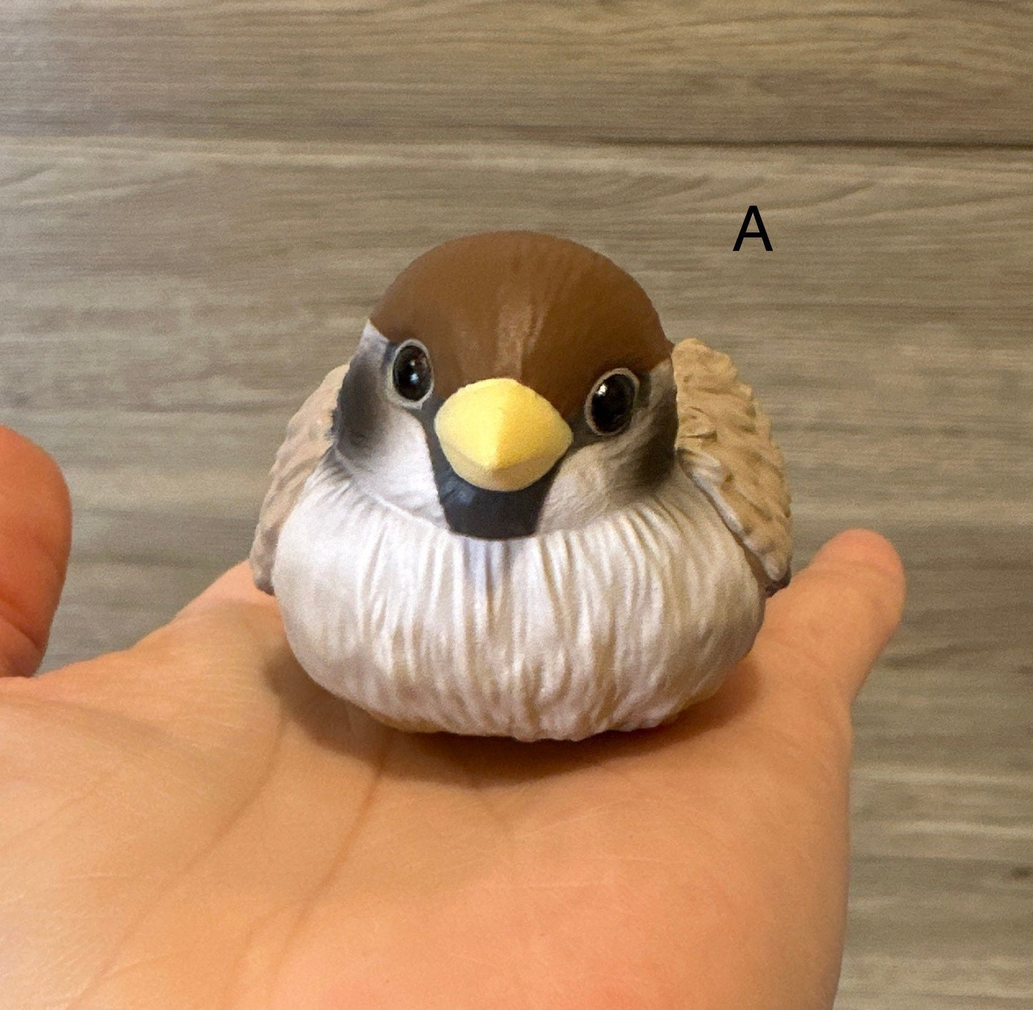 Japan Sparrow Bird