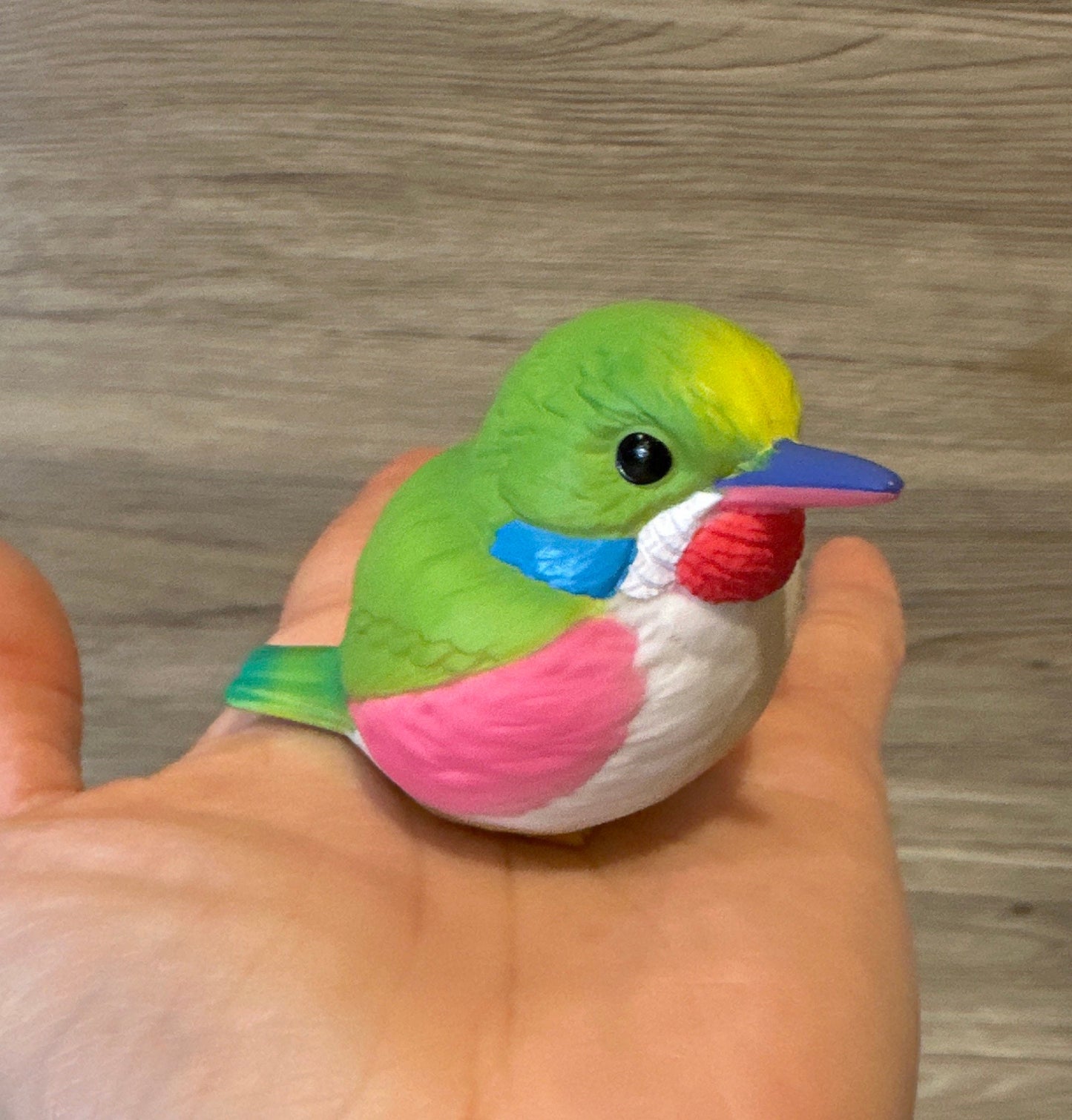 Bird Parakeet Parrot PVC