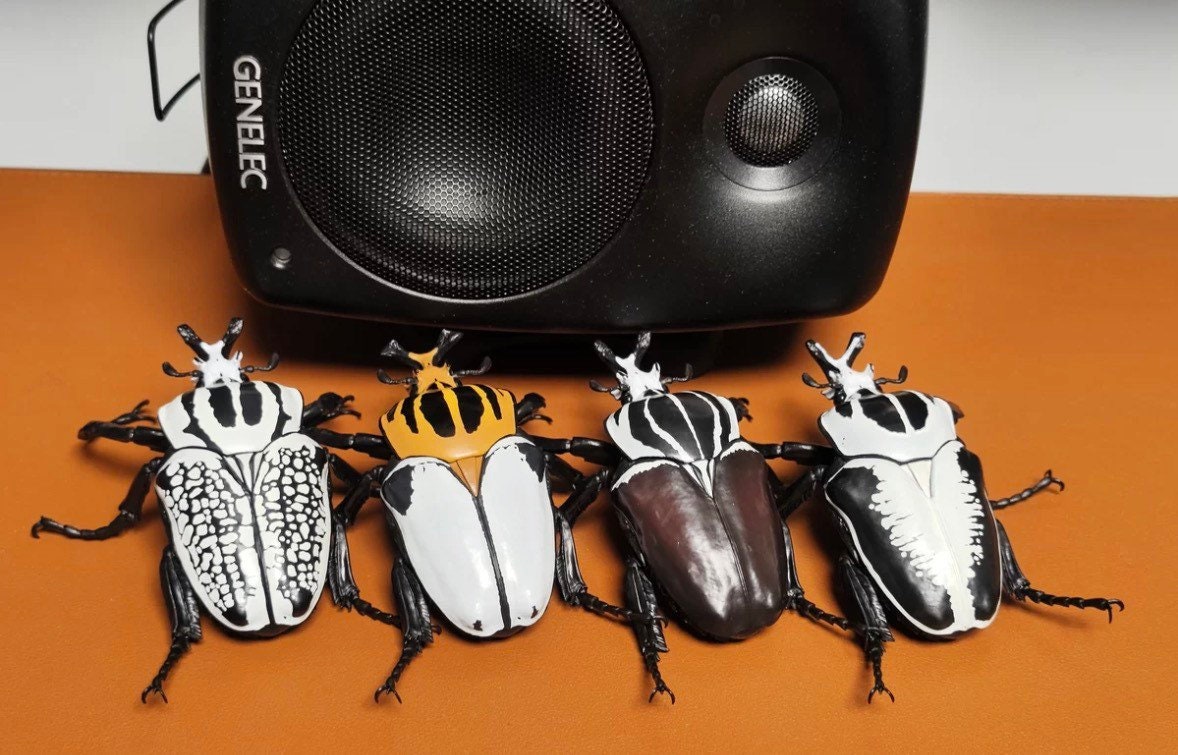 1:1 Goliath Beetle Figurines