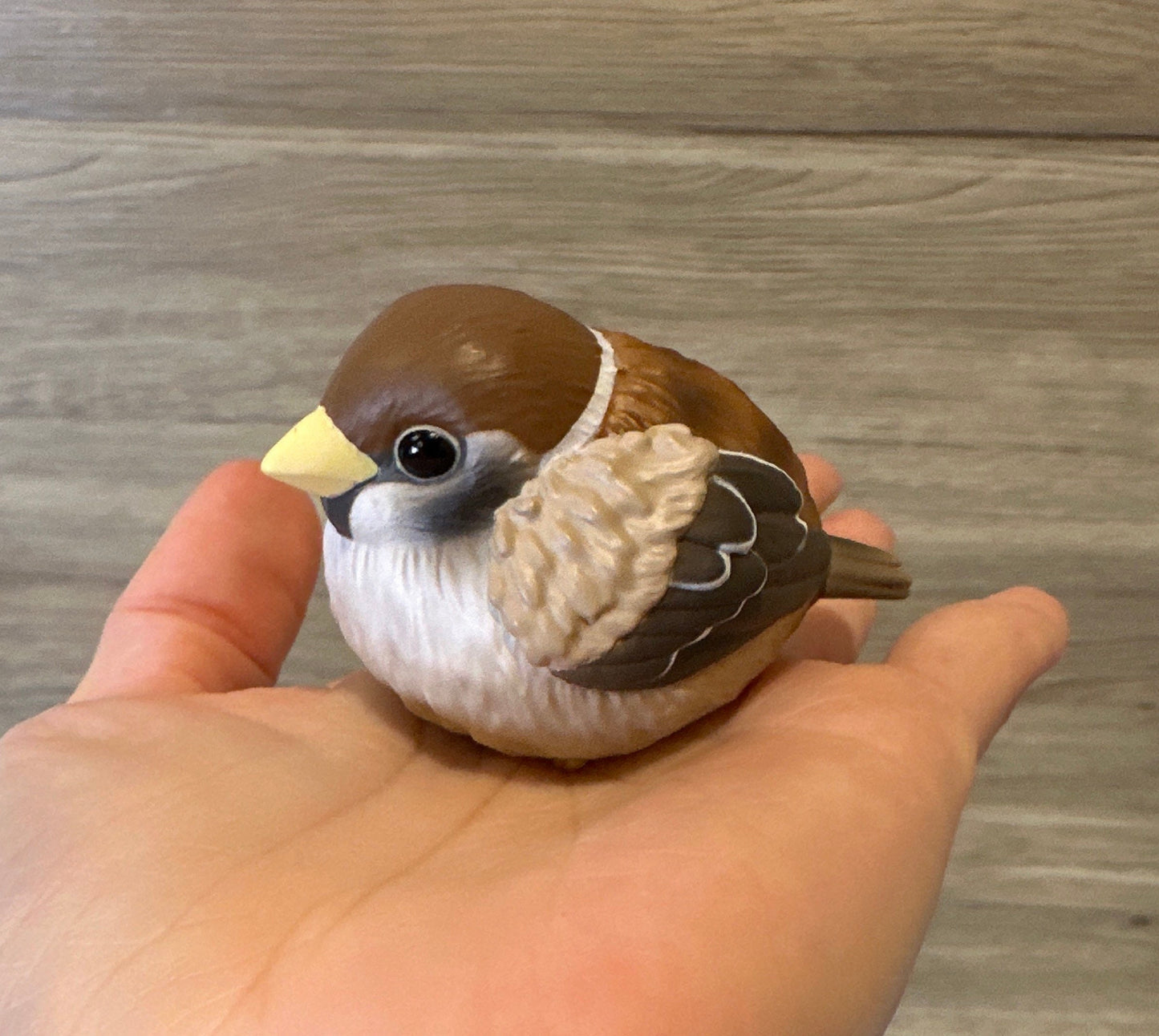 Japan Sparrow Bird