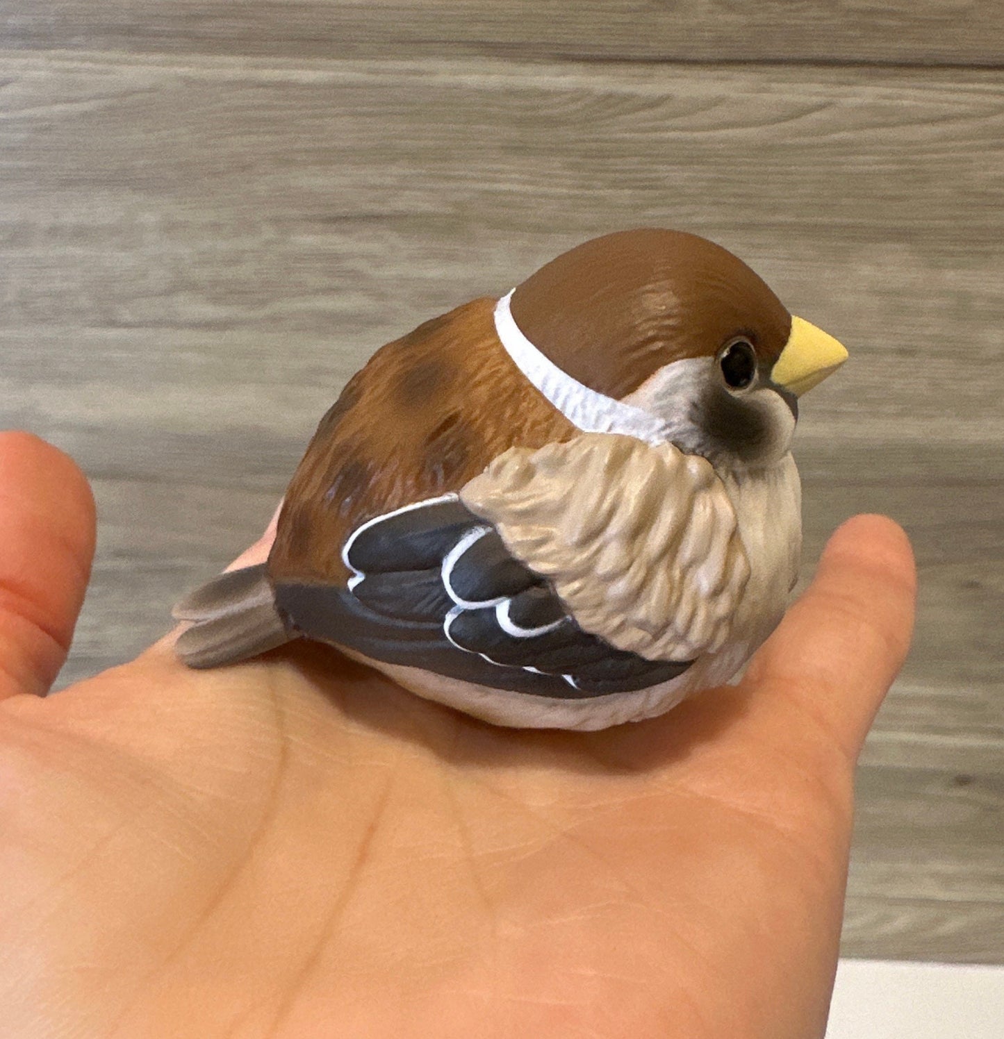 Japan Sparrow Bird