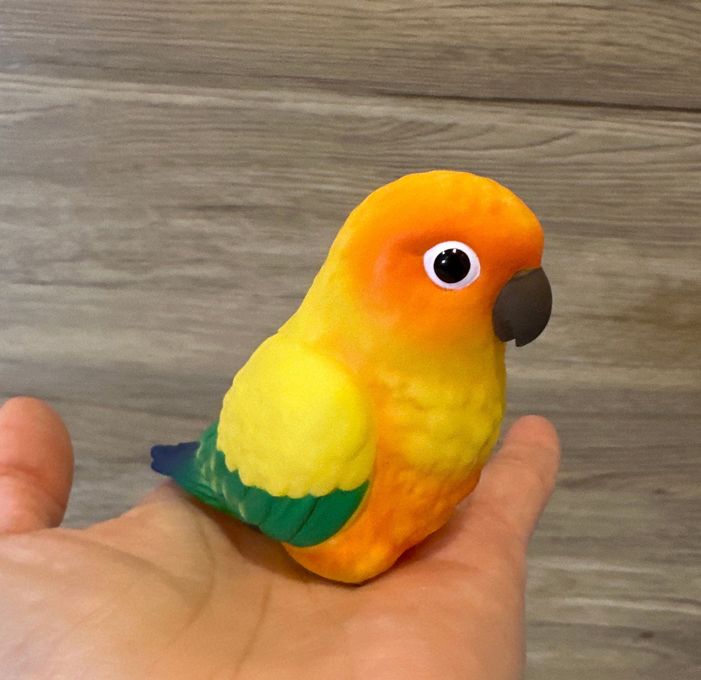 Bird Parakeet Parrot PVC