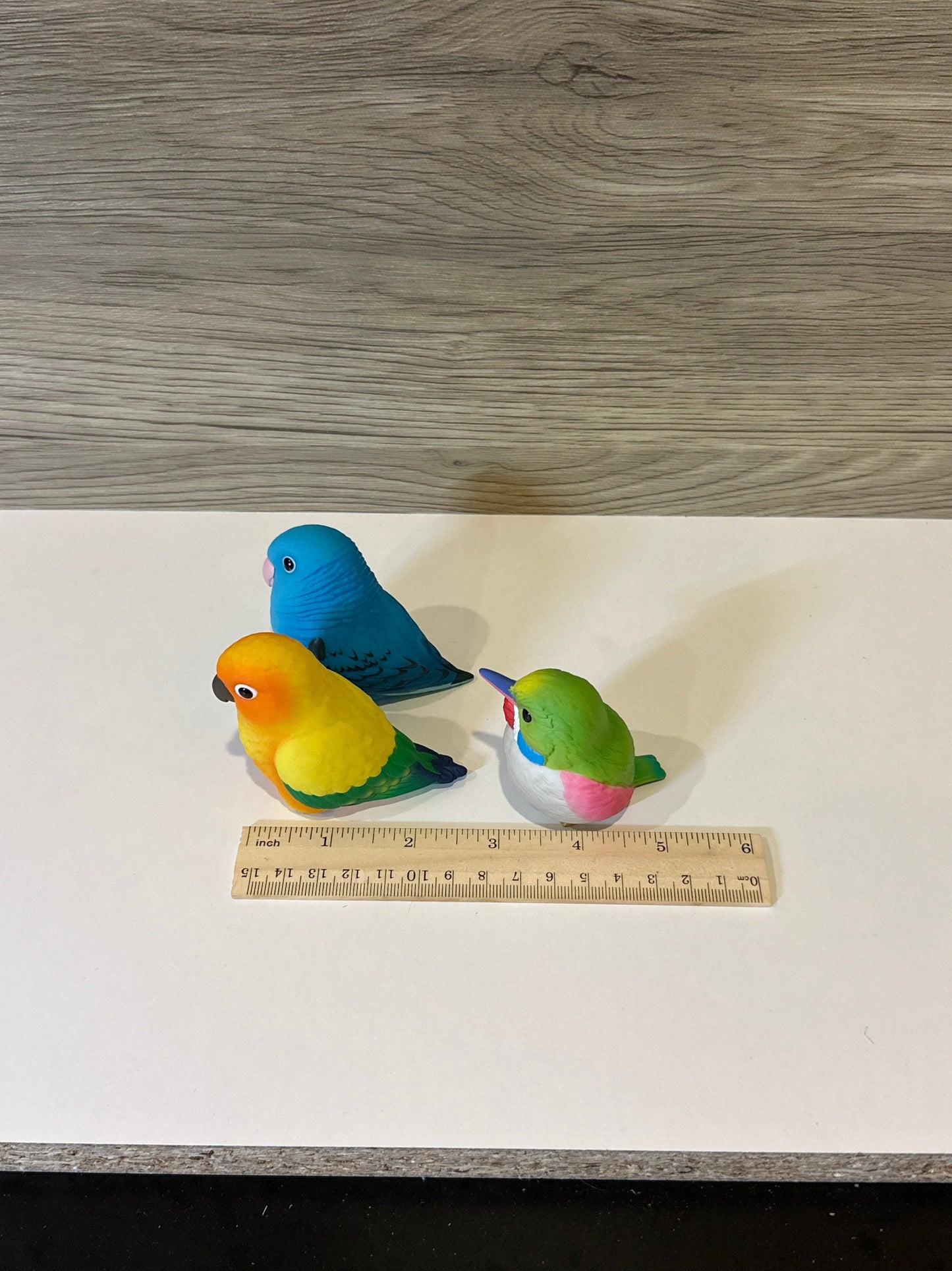 Bird Parakeet Parrot PVC