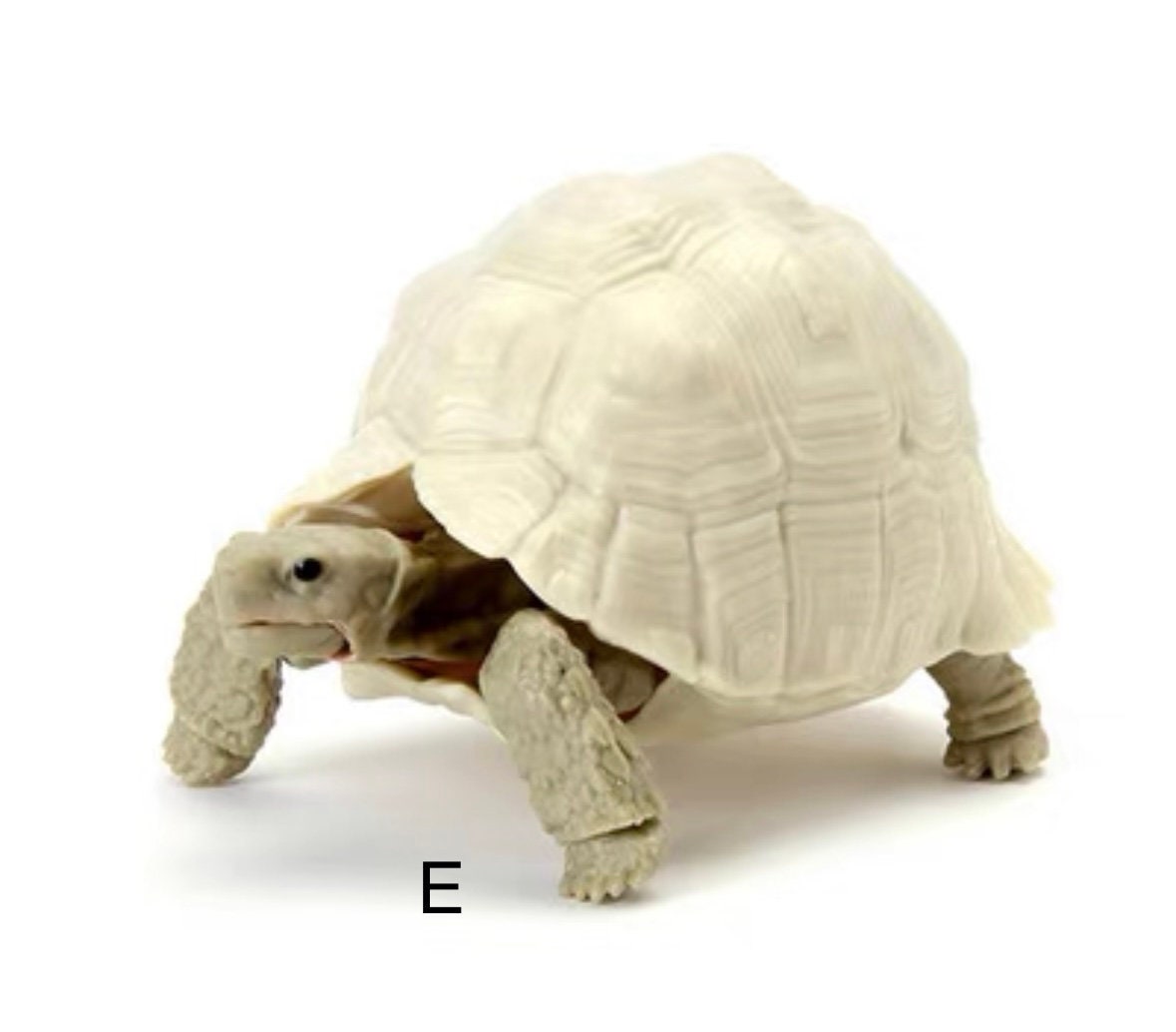 Turtle Figurines