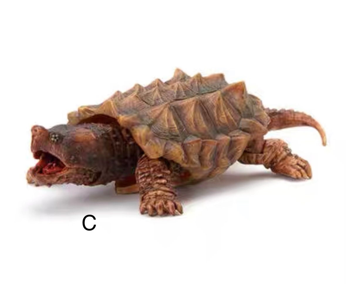 Turtle Figurines