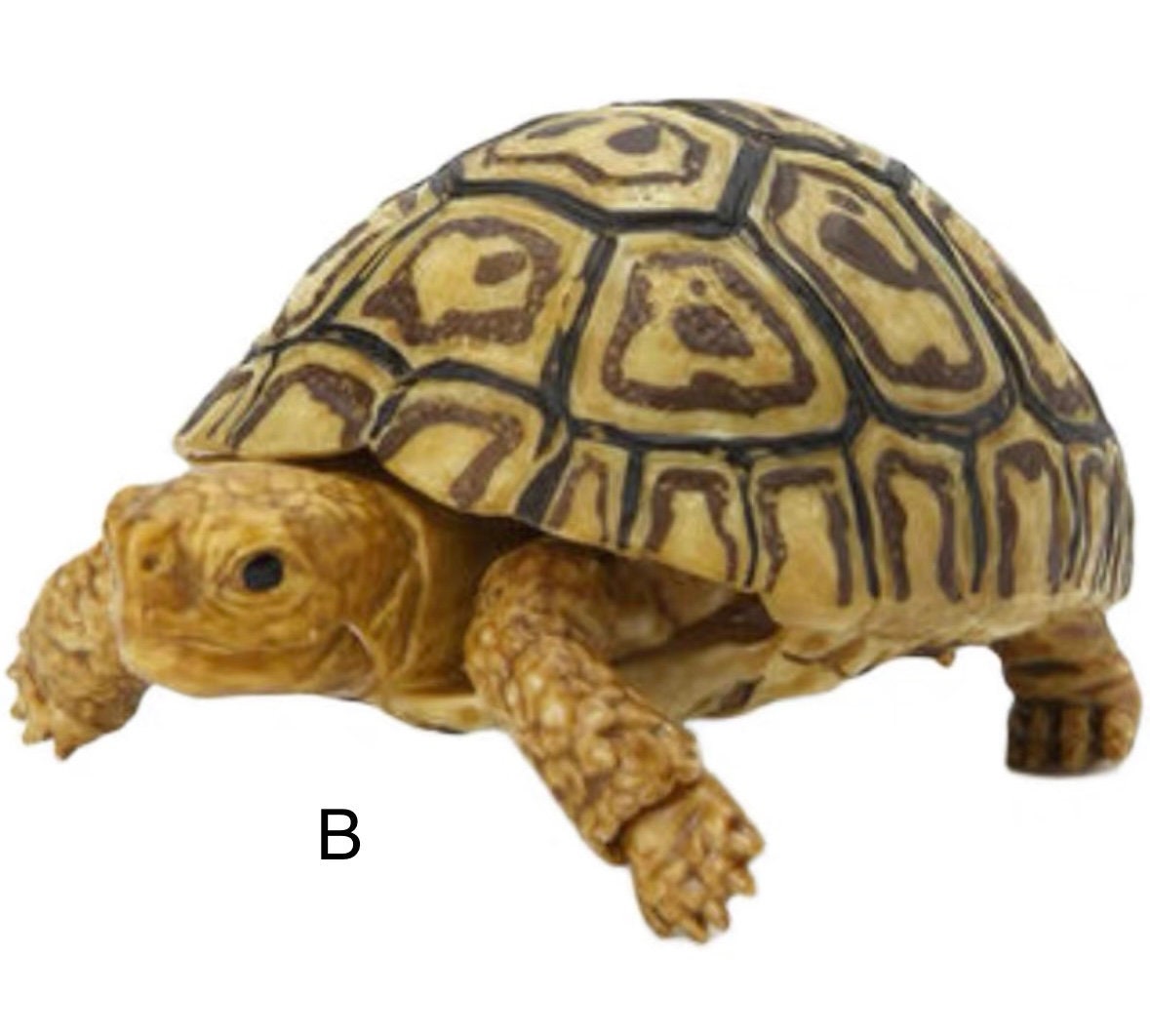 Turtle Figurines