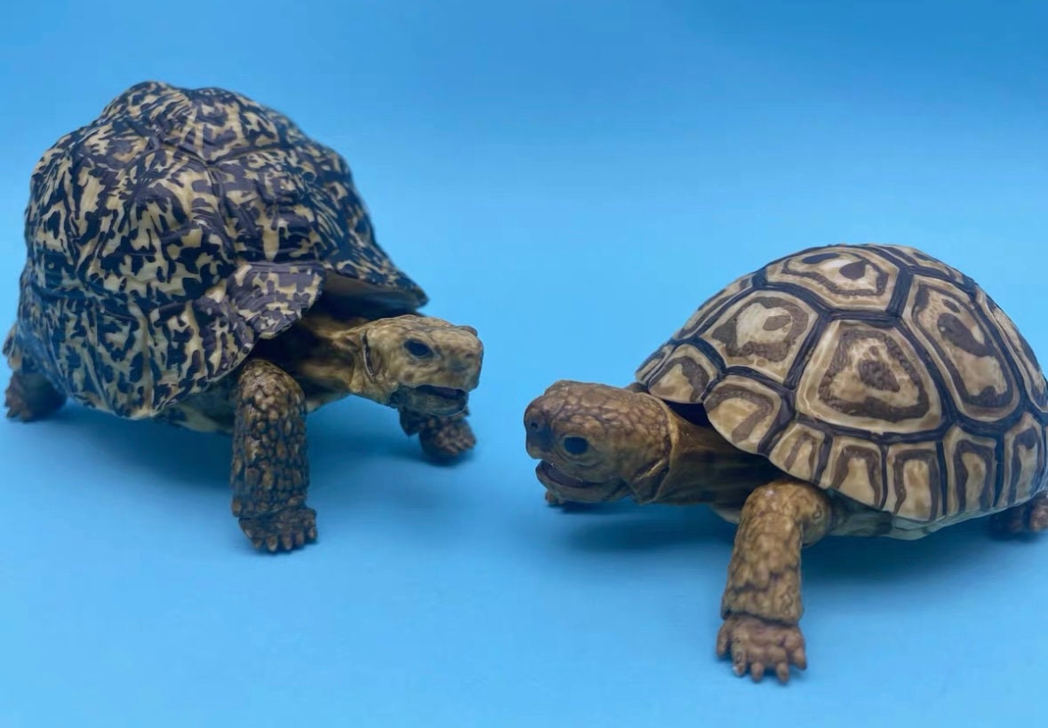 Turtle Figurines