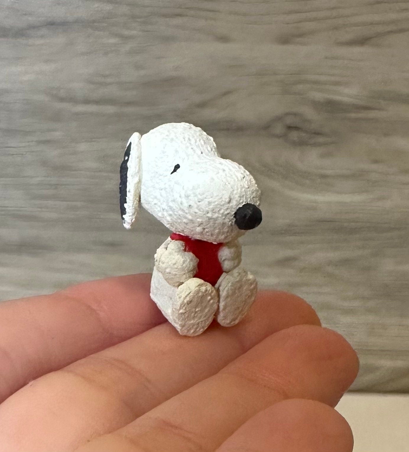 RM Snoopy Character