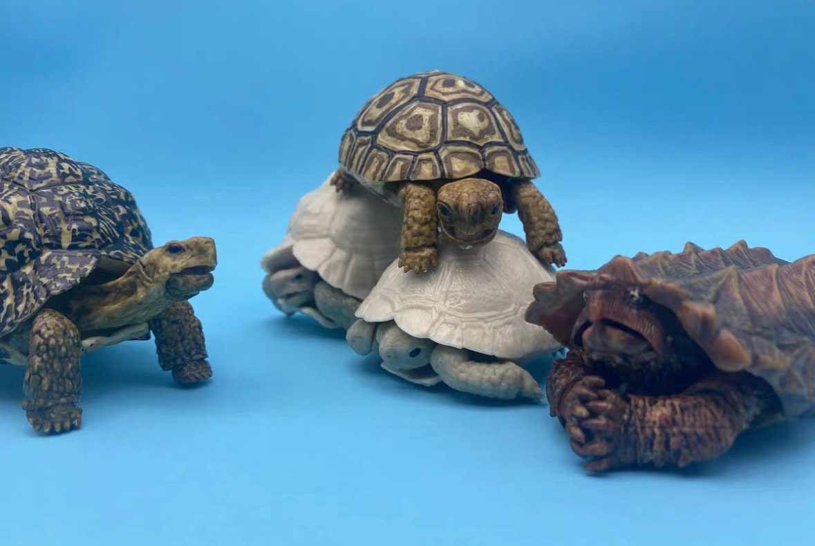 Turtle Figurines