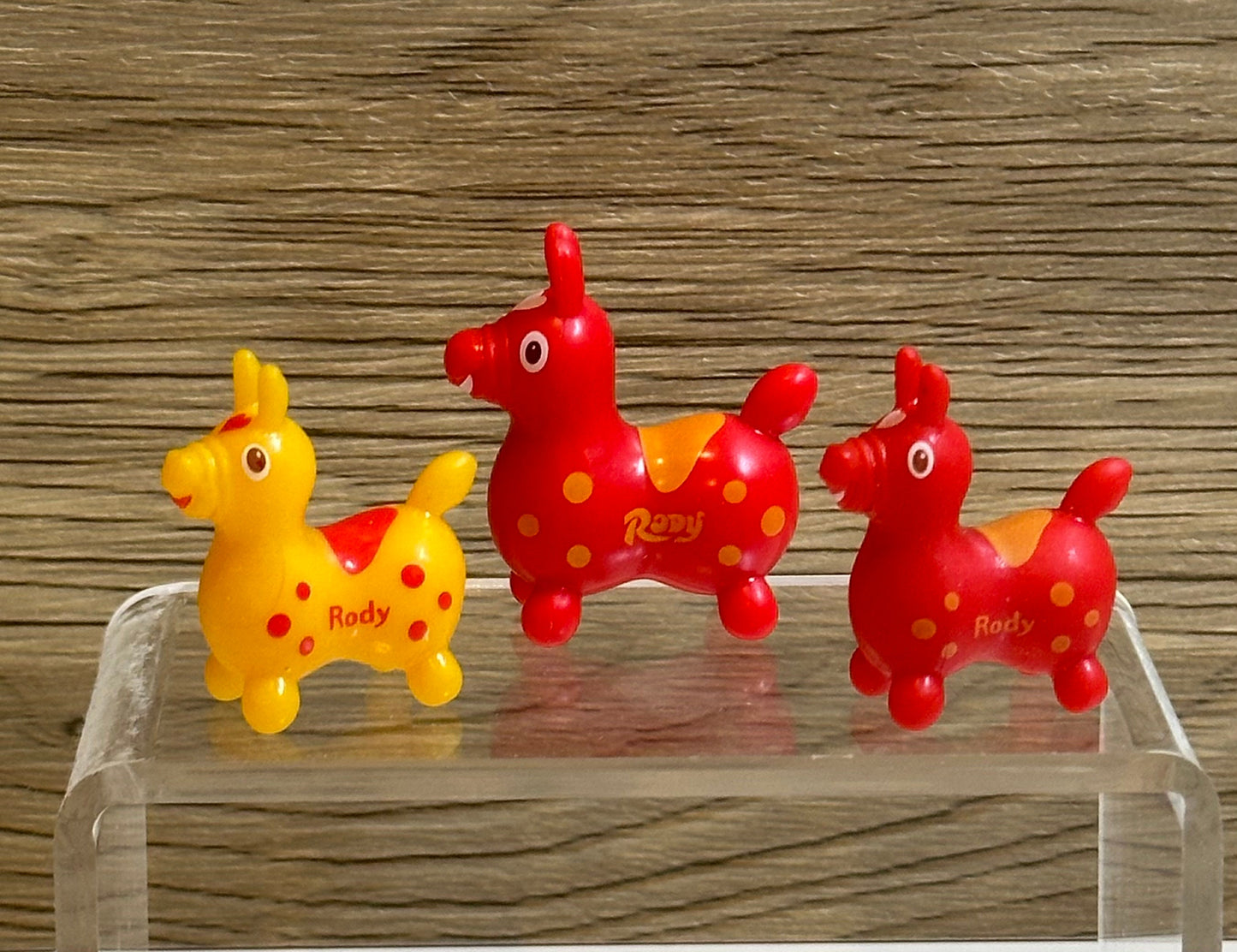 Rody Horse