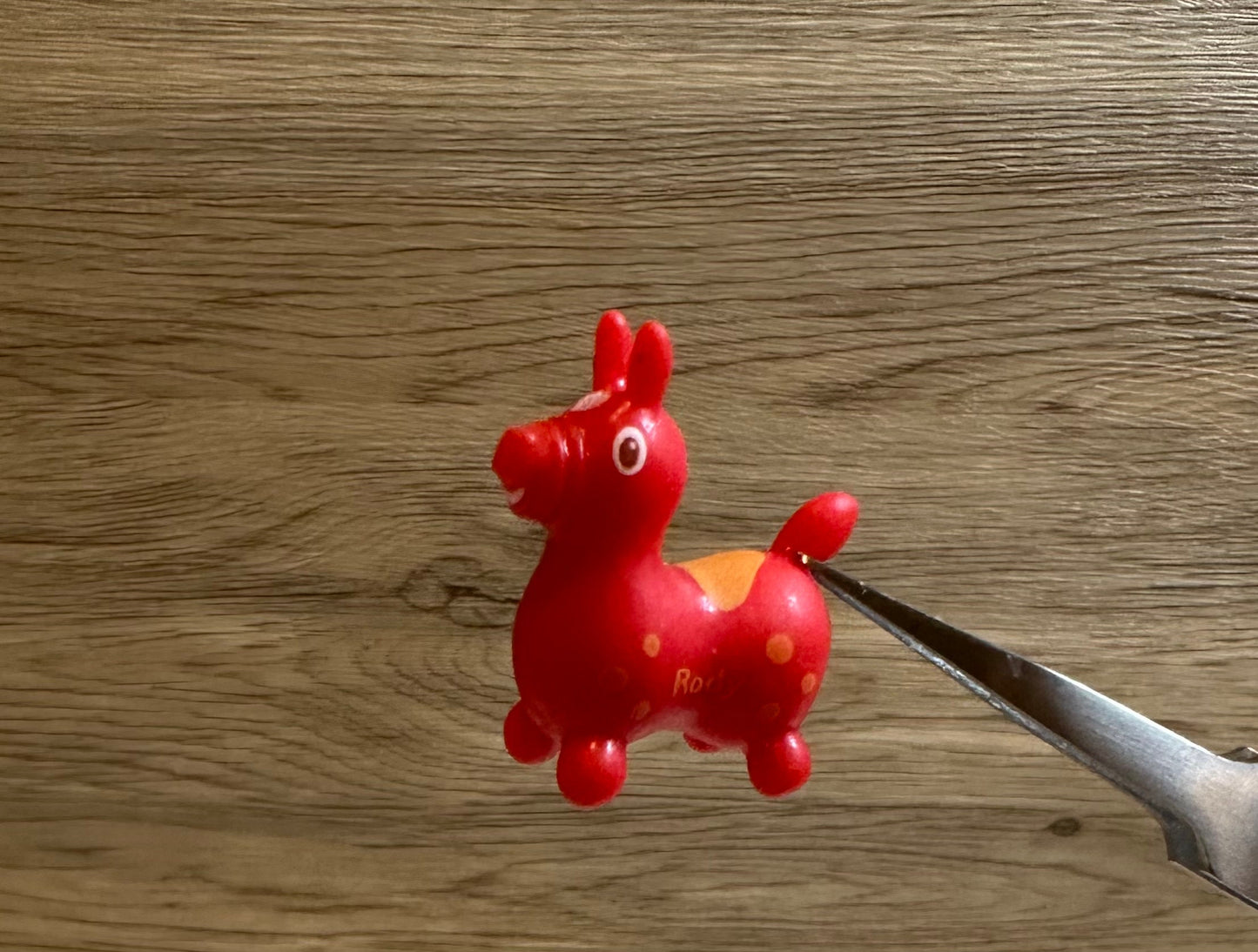 Rody Horse