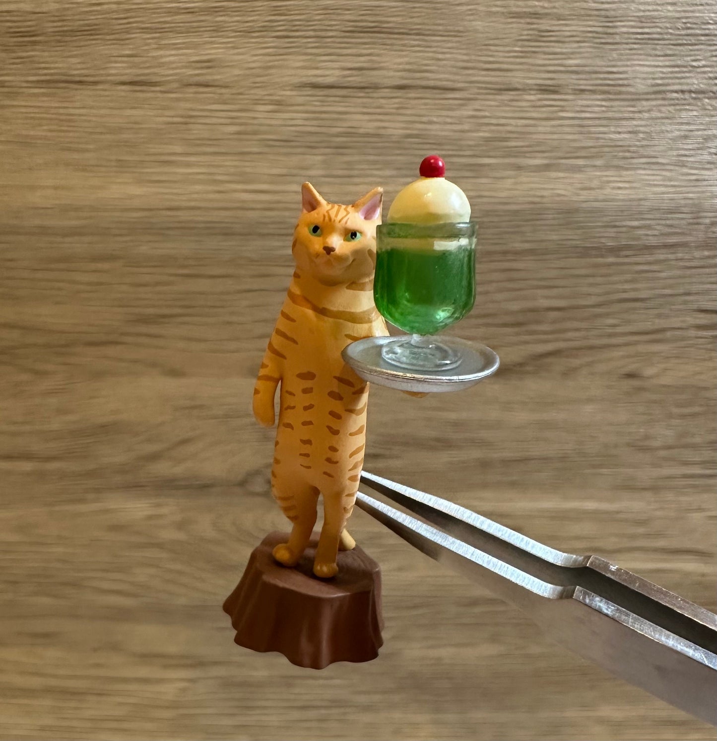 Cat Server Figurines