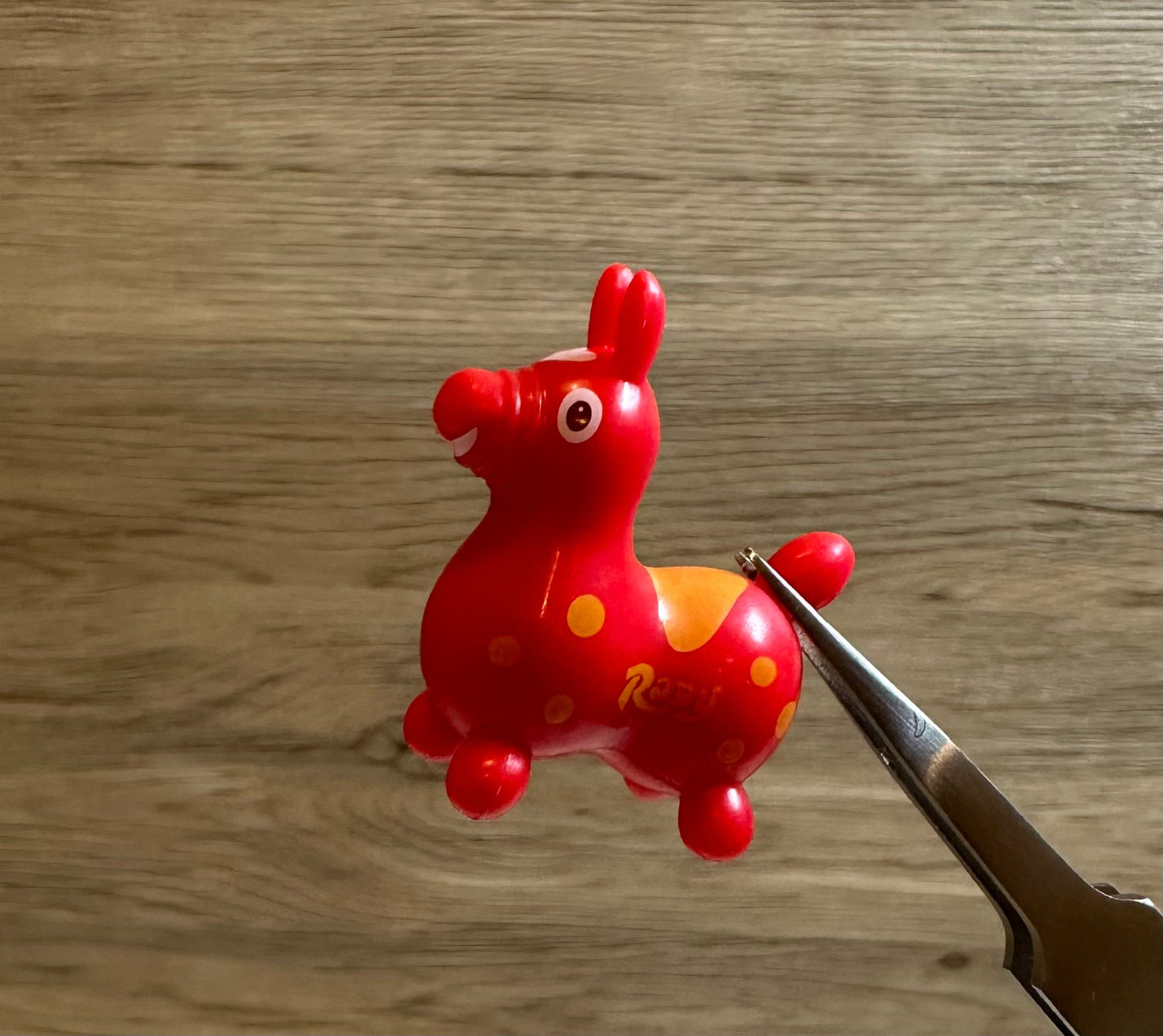 Rody Horse