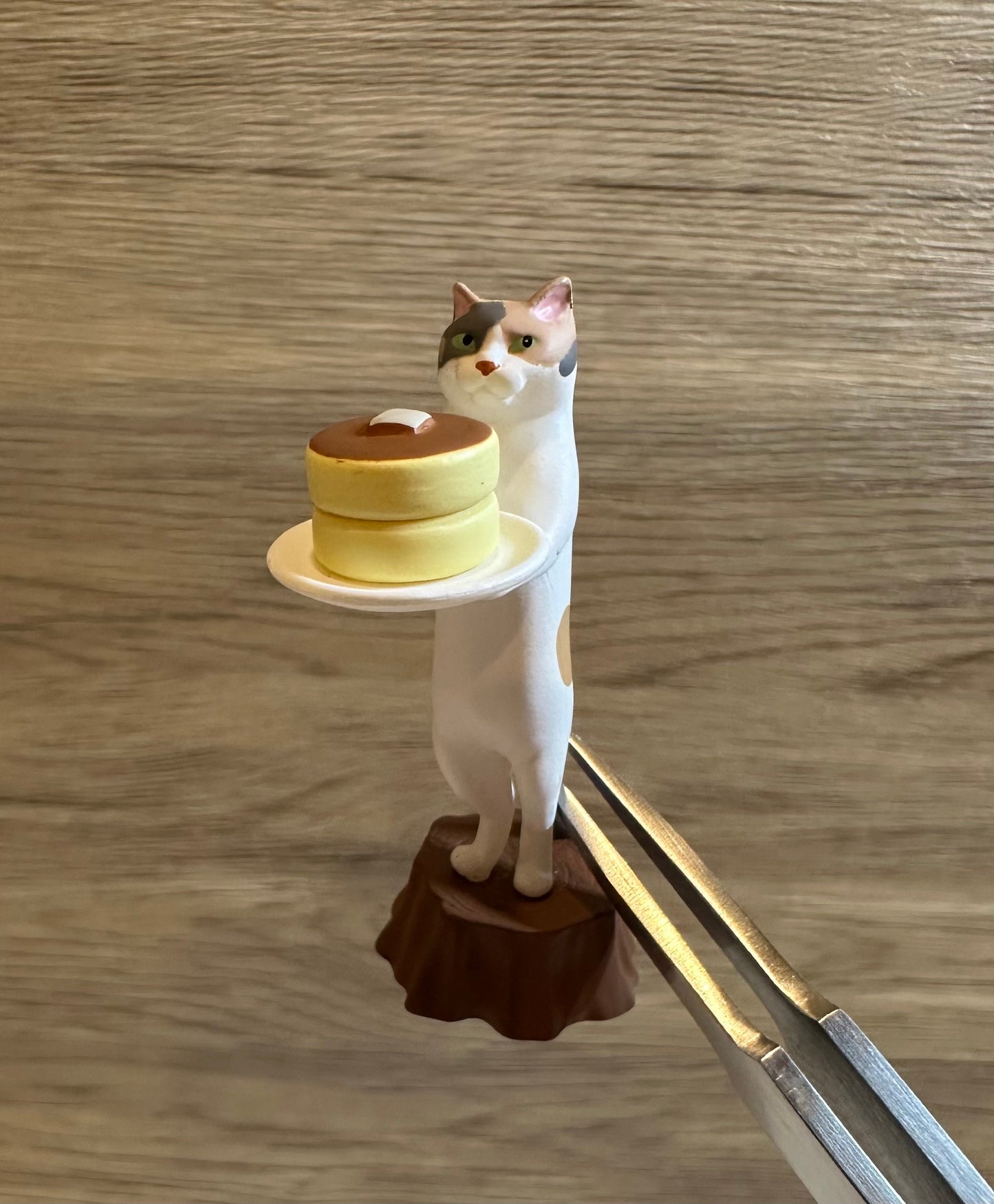 Cat Server Figurines