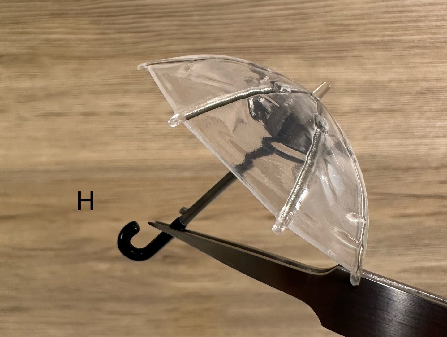 Umbrella with Stand