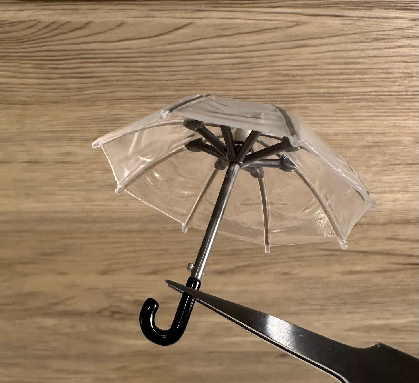 Umbrella with Stand